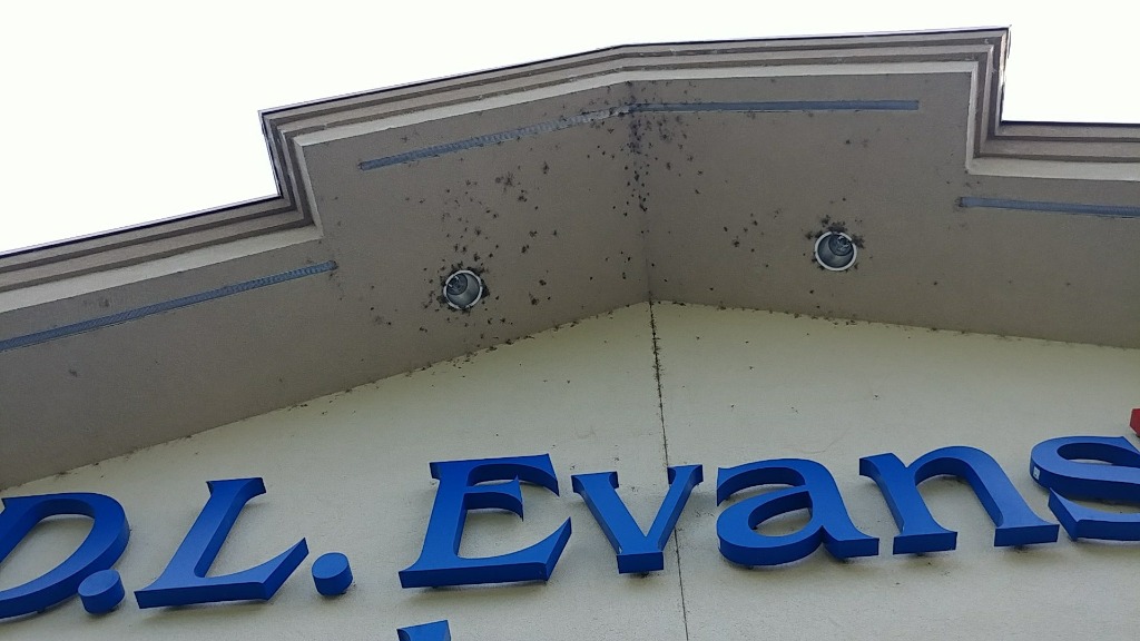 Before D.L. Evans Bank cleaning transformation